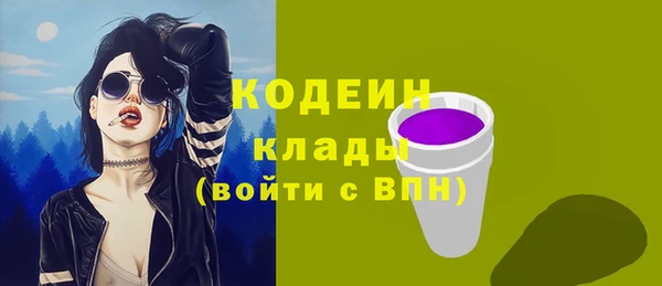 дмт Арсеньев