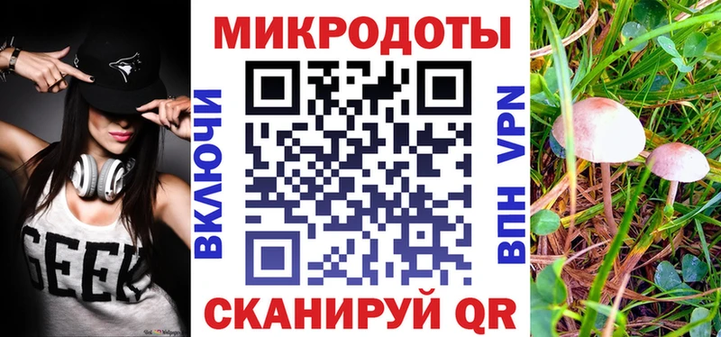 купить закладку  Аркадак  Галлюциногенные грибы Magic Shrooms 